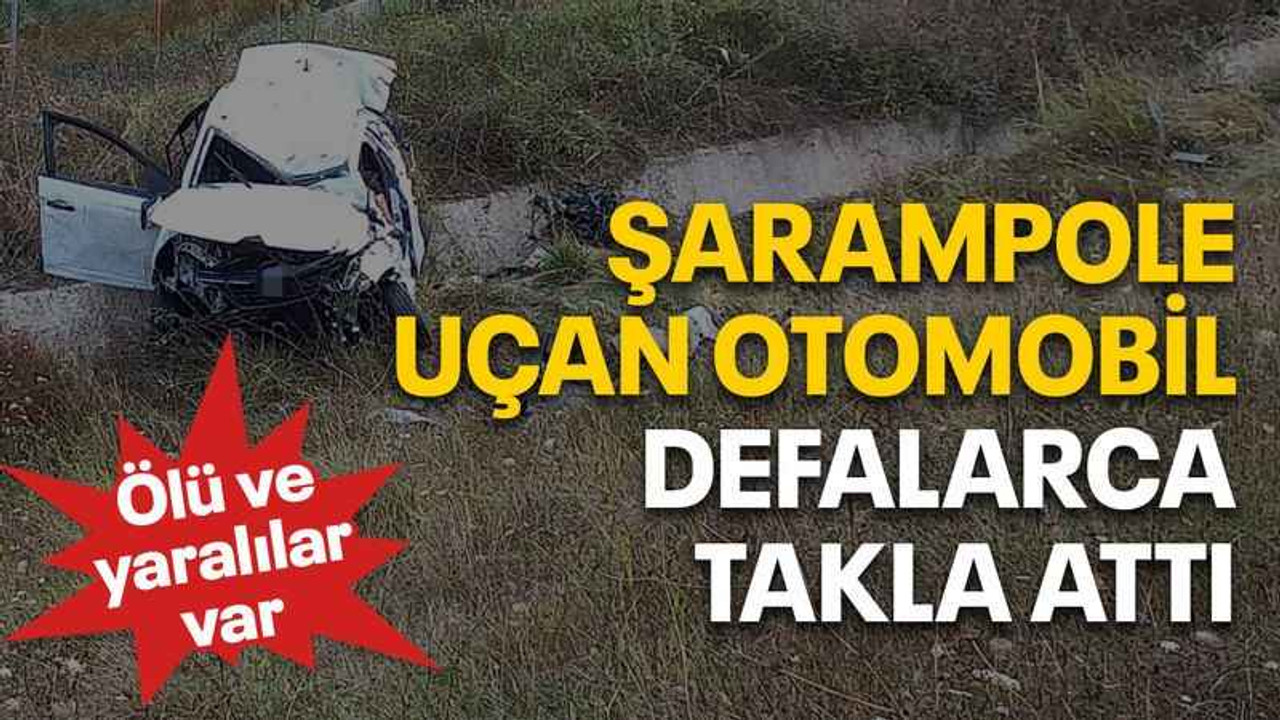 Şarampole uçan otomobil defalarca takla attı